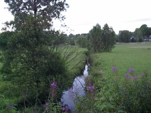 2001.08.05 20.03.32.jpg